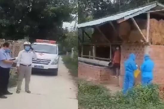 Nghe tin con từ TP HCM về, cha tức tốc chạy đi báo chính quyền rồi cho cách ly ở chuồng bò