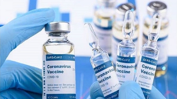 Vaccine Pfizer và Moderna có ảnh hưởng tới khả năng sản xuất tinh trùng không?-1