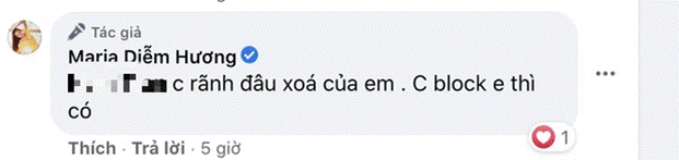 Hoa hậu Diễm Hương gây tranh cãi khi dạo quanh TP.HCM giữa lúc giãn cách xã hội theo Chỉ thị 16, lời giải thích có hợp lý?-3