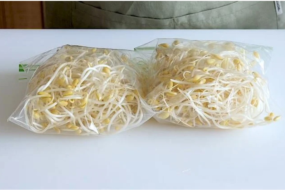 Mẹo bảo quản giá đỗ tươi ngon, không bị thâm, để cả tuần không lo hỏng-1