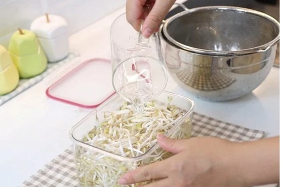 Mẹo bảo quản giá đỗ tươi ngon, không bị thâm, để cả tuần không lo hỏng