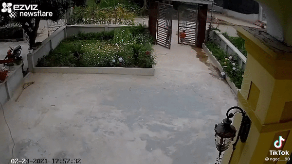 Hai bé trai rủ nhau chơi trò đu cổng sắt, tai nạn sau đó khiến nhiều người hãi hùng-1