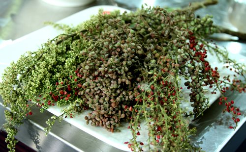 Ba loại quả xưa chống đói nay thành đặc sản cháy hàng-7