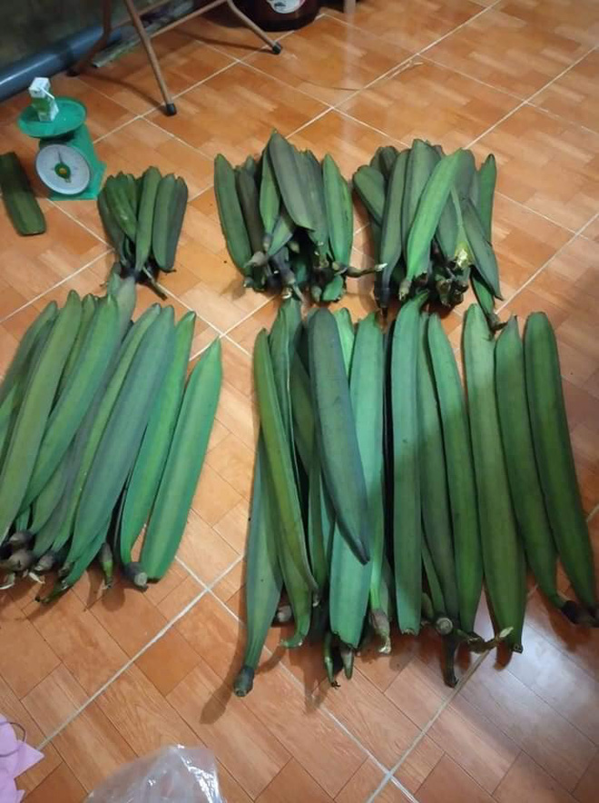 Ba loại quả xưa chống đói nay thành đặc sản cháy hàng-9