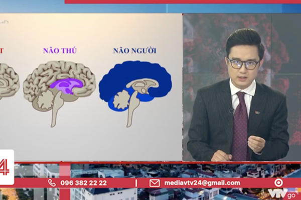 Loạt BTV nổi tiếng VTV lên tiếng bênh Sơn Lâm sau sự cố não người” - não thú”, nhưng lại như đổ dầu vào lửa?-5