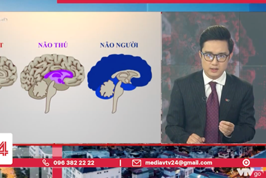 Tranh cãi BTV của VTV ví von 