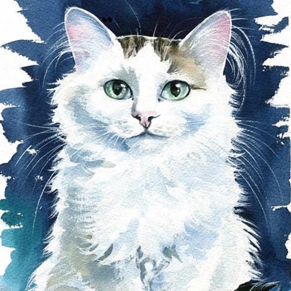 Tuần đầu tháng 8 dương lịch: 3 con giáp được Thần Tài gọi tên, liên tục rước lộc vào nhà, cuộc sống thăng hoa ngoạn mục-1