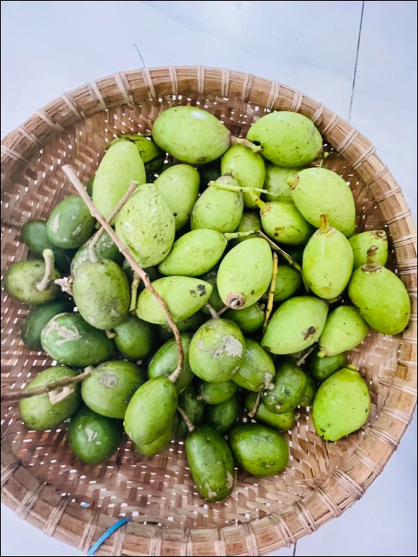 Vườn rau mướt mắt&nbsp;trong biệt thự của&nbsp;Thân Thúy Hà gì cũng có, ngày dịch sẵn thực phẩm xanh tại gia ai cũng thèm-9