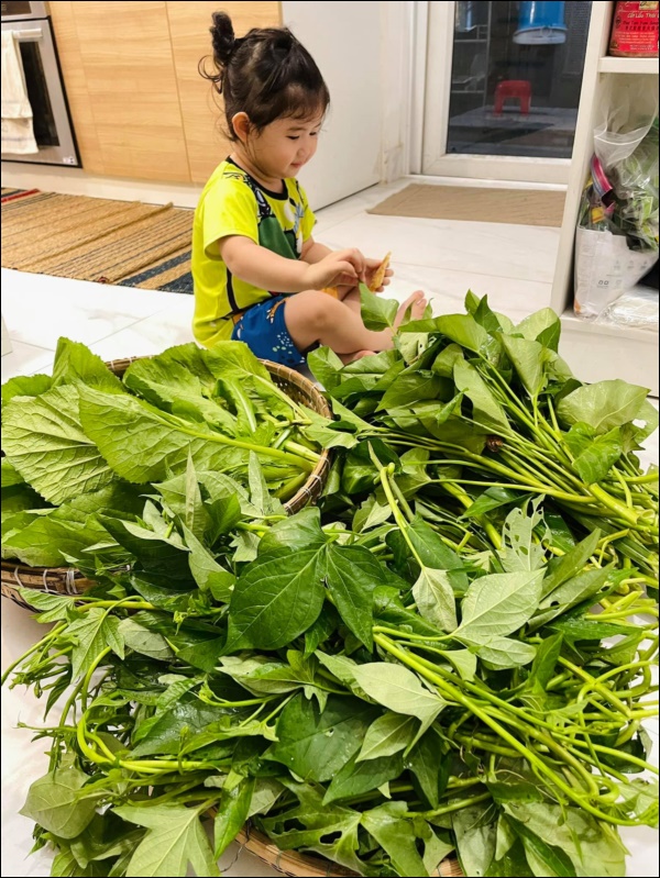 Vườn rau mướt mắt&nbsp;trong biệt thự của&nbsp;Thân Thúy Hà gì cũng có, ngày dịch sẵn thực phẩm xanh tại gia ai cũng thèm-16