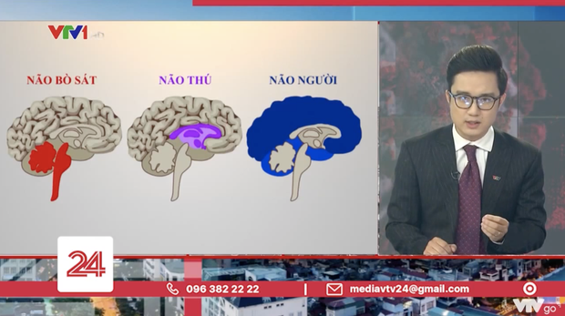 Loạt BTV nổi tiếng VTV lên tiếng bênh Sơn Lâm sau sự cố não người” - não thú”, nhưng lại như đổ dầu vào lửa?-1