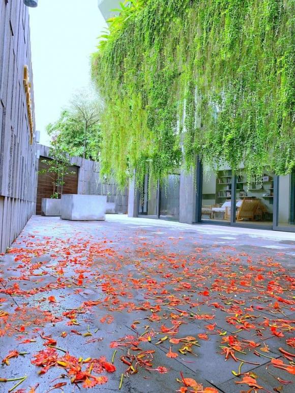 Choáng ngợp khi tham quan căn biệt thự sang chảnh, có trang bị thang máy riêng của Mr. Siro-5