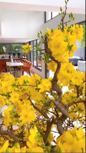 Choáng ngợp khi tham quan căn biệt thự sang chảnh, có trang bị thang máy riêng của Mr. Siro-10