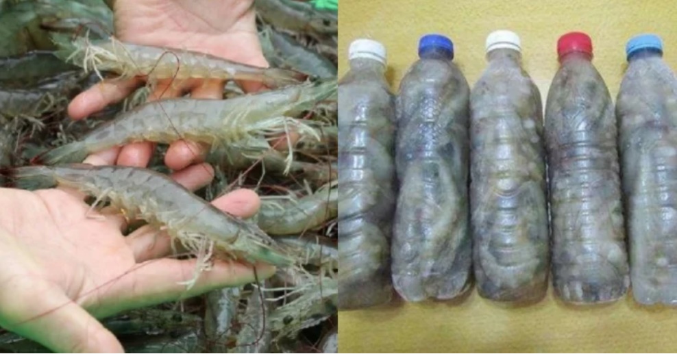 Mua tôm về đừng bỏ ngay vào tủ lạnh, trữ đông theo cách này cả tháng vẫn tươi ngon, không bị đen đầu-2