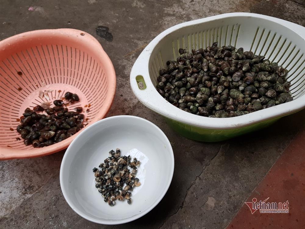 Một nhà đi chợ hộ ba hàng xóm, đến bữa thi món ngon qua mạng-3