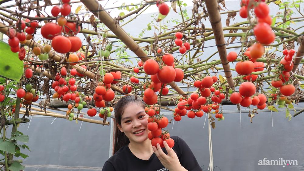Sở hữu sân thượng đủ loại rau và trái cây sạch, mẹ trẻ yên tâm cùng gia đình đi qua mùa dịch ở Thái Bình-1