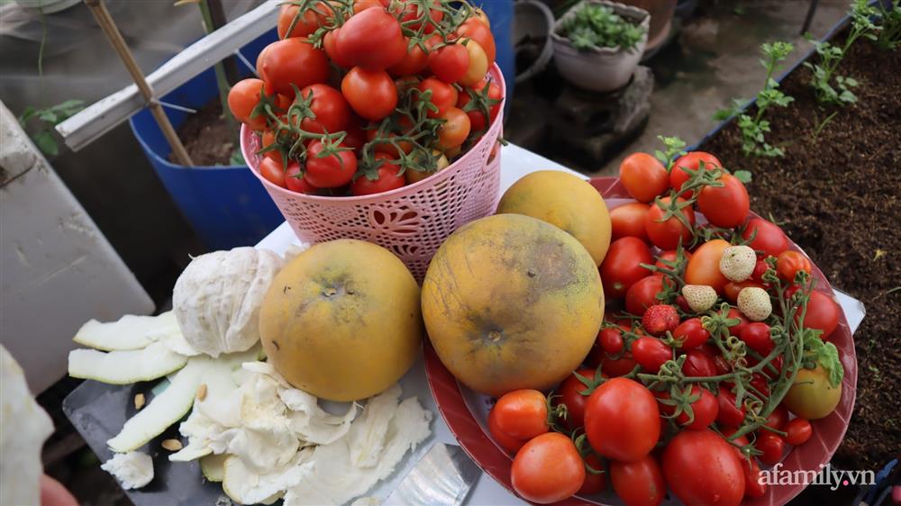 Sở hữu sân thượng đủ loại rau và trái cây sạch, mẹ trẻ yên tâm cùng gia đình đi qua mùa dịch ở Thái Bình-7