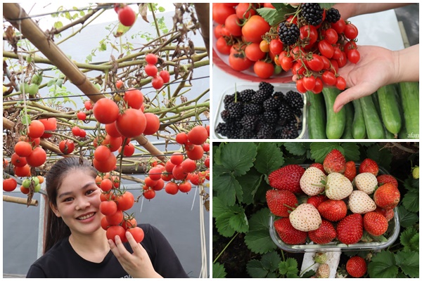 Căn hộ 32m² đẹp đến khó tin được cải tạo từ gác xép-10