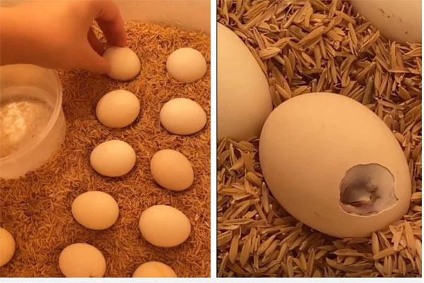 Cô gái người Nga chia sẻ chuỗi ngày giãn cách khó quên khi lần đầu đi chợ bằng phiếu, biết ơn Việt Nam vì sự tử tế dành cho cộng đồng người nước ngoài-7