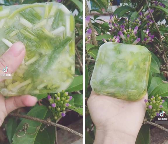 Chị em bật cười vì cô nàng trữ đông hành lá mà tưởng là tảng băng trôi trong tủ lạnh-1