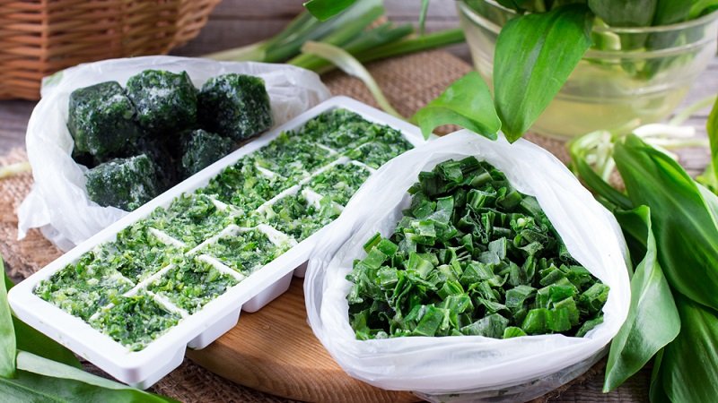 Chị em bật cười vì cô nàng trữ đông hành lá mà tưởng là tảng băng trôi trong tủ lạnh-4