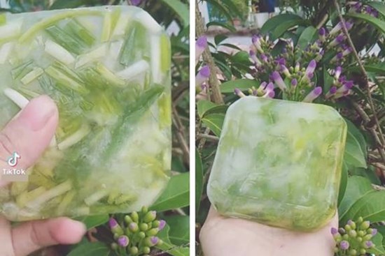 Chị em bật cười vì cô nàng trữ đông hành lá mà tưởng là 'tảng băng trôi' trong tủ lạnh