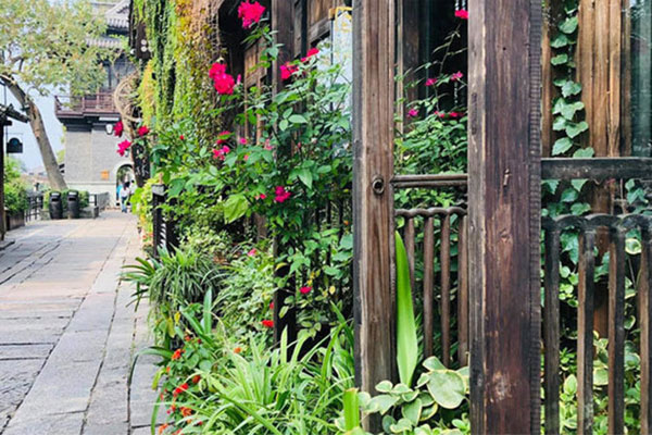 Người đàn ông khoe lương hưu cao khiến tôi nhận quả đắng-1