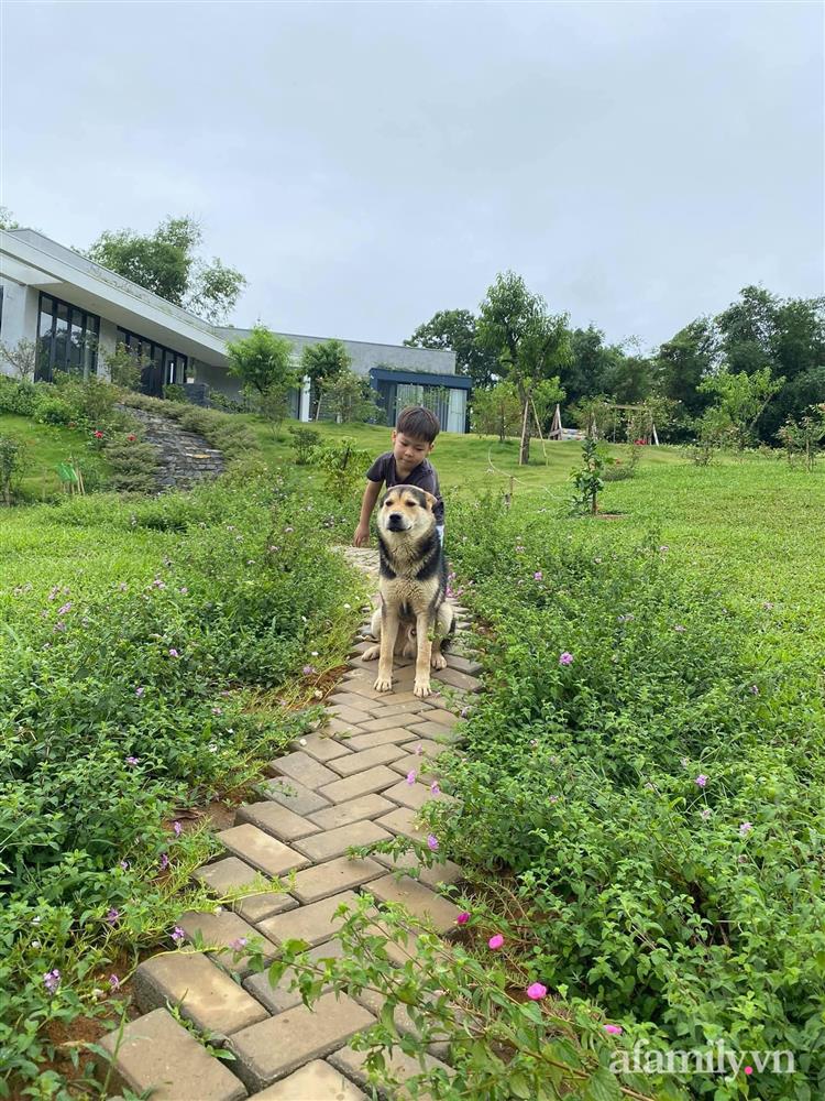 Căn nhà vườn đẹp an yên, tĩnh lặng ở ngoại thành Hà Nội-8