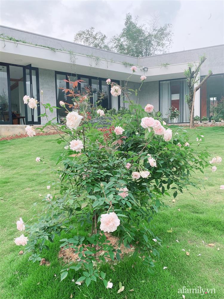 Căn nhà vườn đẹp an yên, tĩnh lặng ở ngoại thành Hà Nội-20