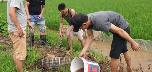 Hết hồn đặc sản thịt chuột của người Hà Nội, nhìn khiếp đảm nhưng giá không hề rẻ-1