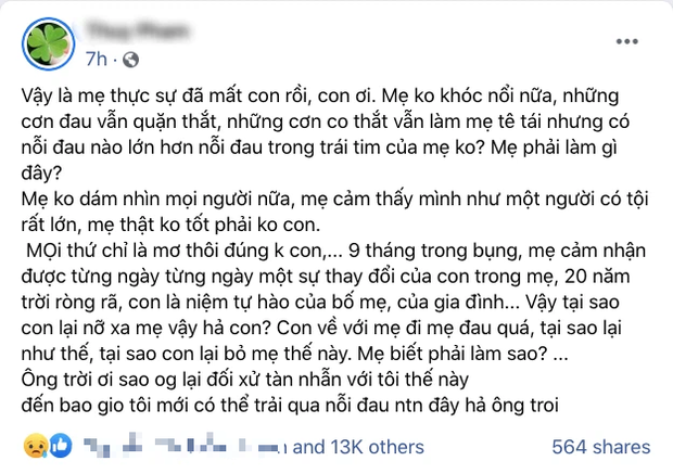 Xuất hiện tài khoản giả mạo mẹ nam thanh niên Việt Nam bị hành hung, đạp xuống sông tử vong ở Nhật Bản-2