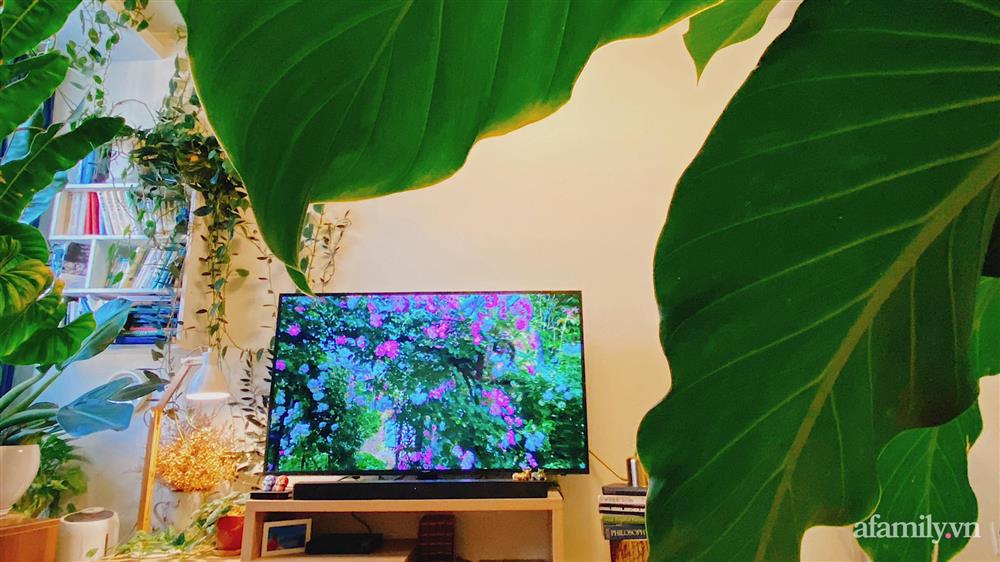 Căn hộ trên tầng cao xanh mát ấn tượng với đủ loại cây nhiệt đới của chàng trai Sài Gòn-5