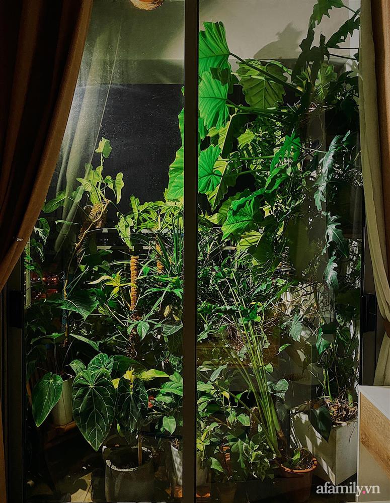 Căn hộ trên tầng cao xanh mát ấn tượng với đủ loại cây nhiệt đới của chàng trai Sài Gòn-10