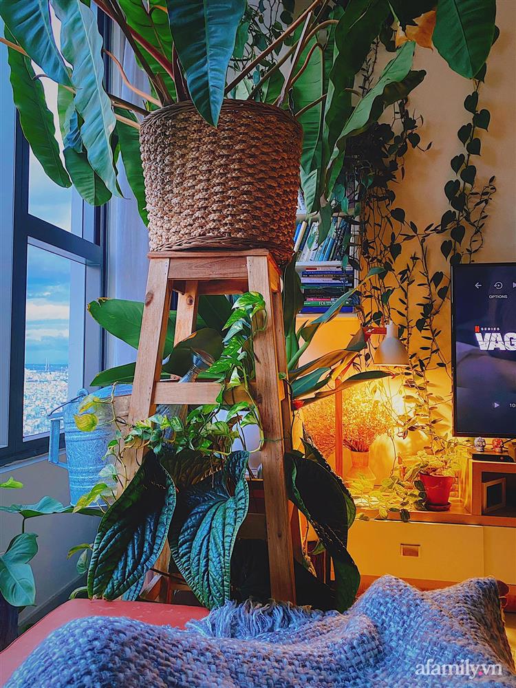 Căn hộ trên tầng cao xanh mát ấn tượng với đủ loại cây nhiệt đới của chàng trai Sài Gòn-8