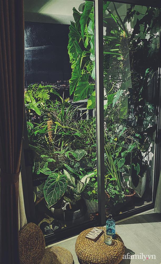 Căn hộ trên tầng cao xanh mát ấn tượng với đủ loại cây nhiệt đới của chàng trai Sài Gòn-15