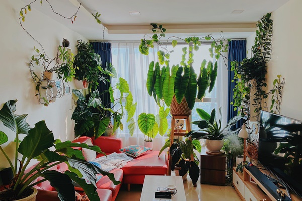 Vợ chồng Nghệ An chi 600 triệu tái cấu trúc căn hộ 90m2, góc nào cũng rộng thênh thang ngắm đến đâu ưng đến đó-24