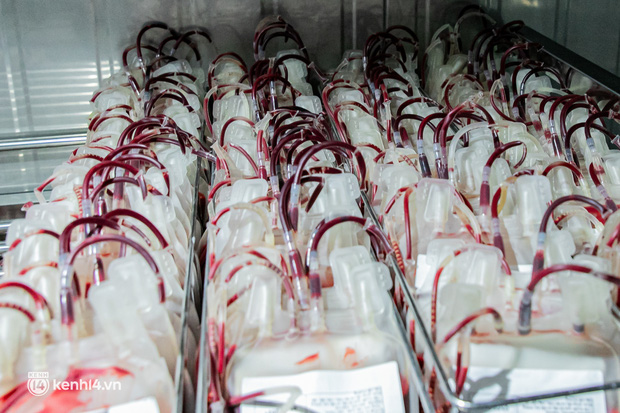 Bên trong kho máu đang cạn kiệt của Trung tâm Truyền máu BV Chợ Rẫy: Chúng ta có thể chờ dịch bệnh qua đi nhưng người bệnh không thể chờ máu!-8