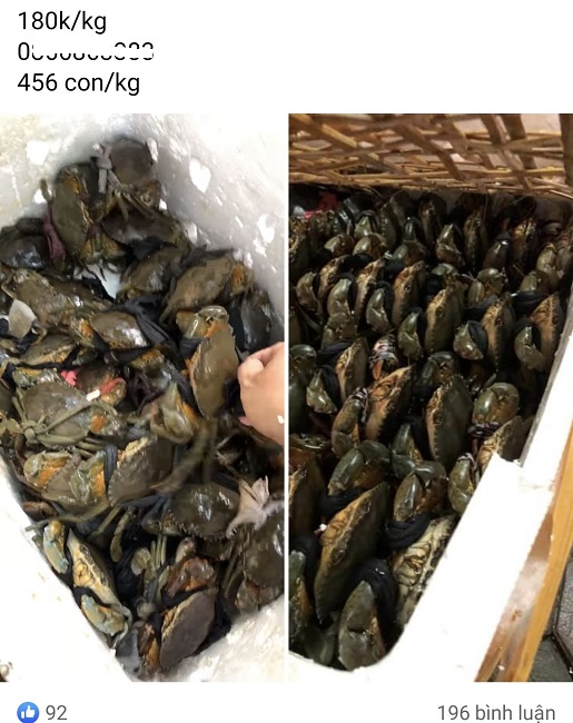 Nhiều loại hải sản có giá rẻ chưa từng có, cua biển chỉ từ 120.000 đồng/kg-1