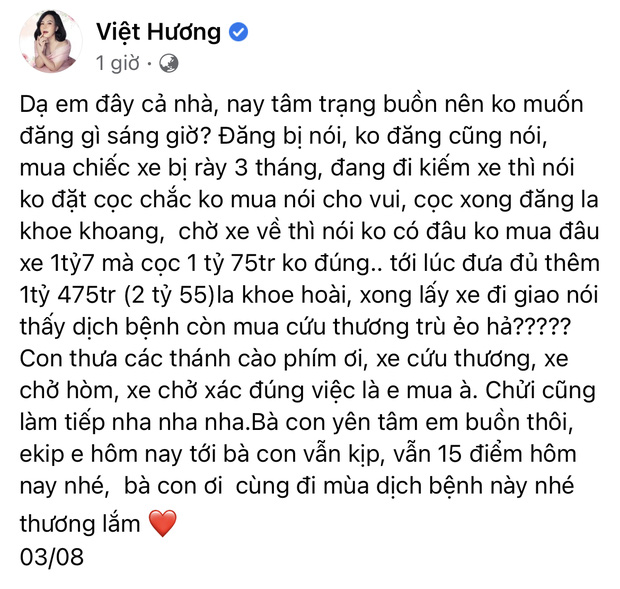 Giao xe cứu thương 2,55 tỷ cho ông Đoàn Ngọc Hải, NS Việt Hương phải lên tiếng cực căng vì bị chỉ trích nặng nề-2