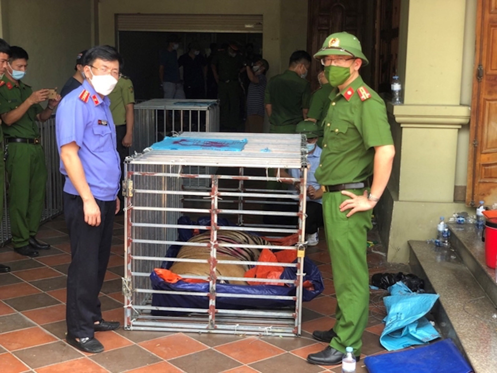 Vụ nuôi nhốt 17 con hổ trong nhà như nuôi heo: Chủ nhà xây tầng hầm rộng cả trăm mét để tránh bị phát hiện-6