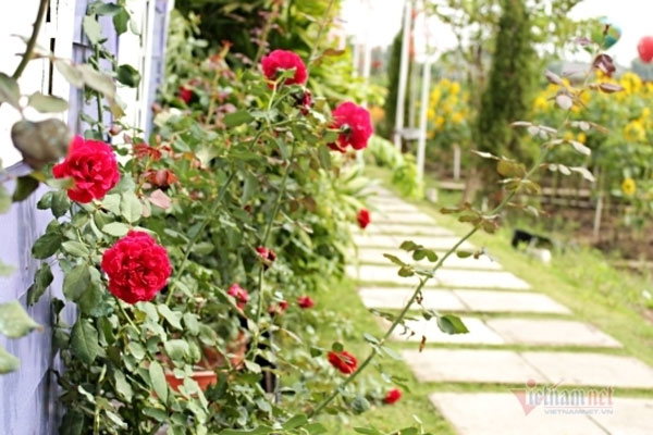 Yêu được 2 tháng mẹ bạn gái đã giục cưới, đến hôm thưa chuyện tôi tức giận hủy hôn-2