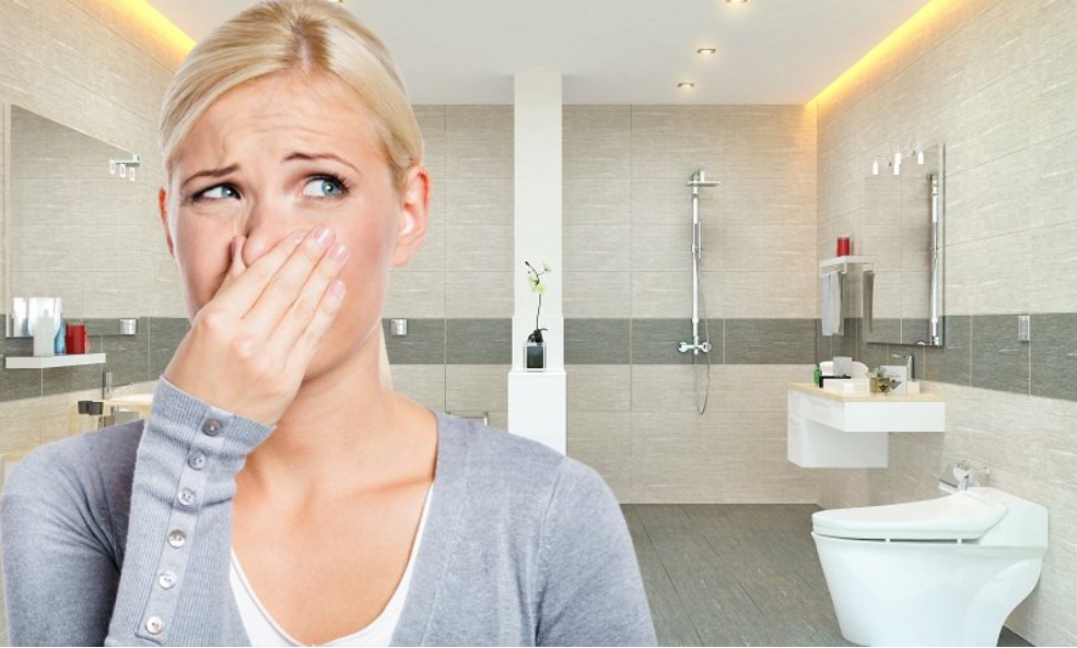 Mẹo khử mùi hôi nhà vệ sinh đơn giản đảm bảo hiệu quả, nhanh chóng-1