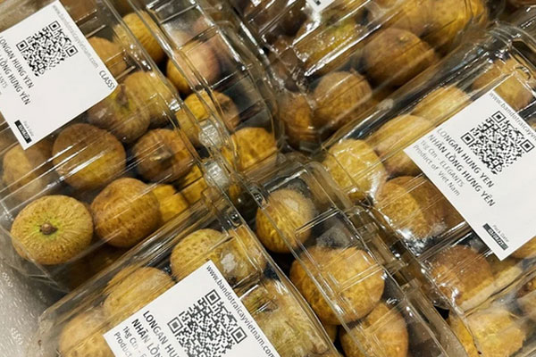 Chưa bao giờ buồn như năm nay: Nhãn Hưng Yên mất mùa, giá rẻ hơn rau-7