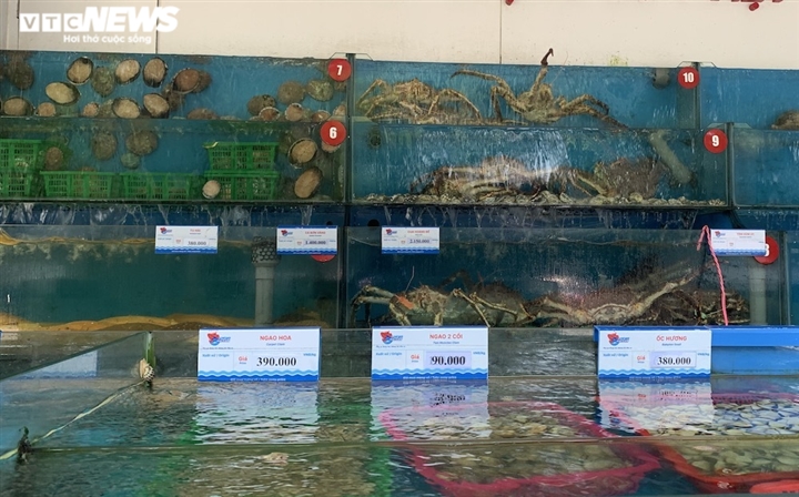 Hà Nội: Hải sản dành cho nhà giàu giảm giá kỷ lục vẫn ế ẩm-2