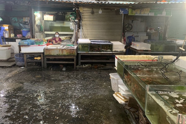 Có hay không hiện tượng tiểu thương găm hàng, tăng giá?-2