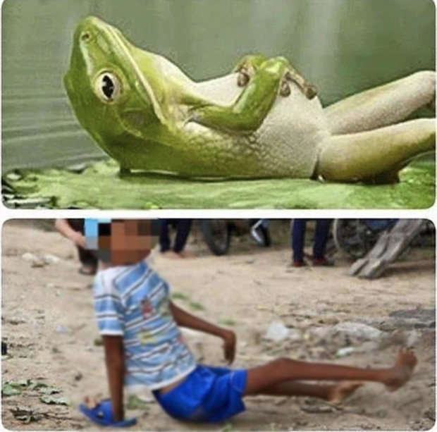 Angela Phương Trinh gây phẫn nộ vì chia sẻ chuyện phản khoa học về nguyên nhân trẻ bị khuyết tật kèm ảnh bé gái và cóc nhái-2