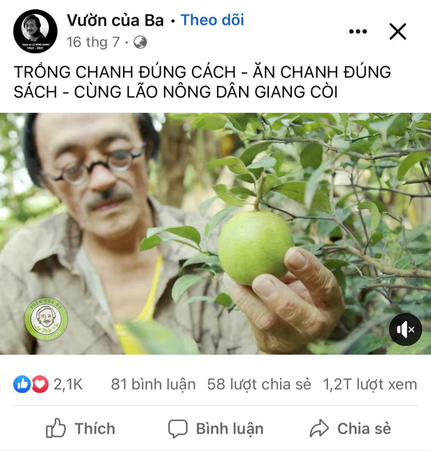 Thăm khu vườn đầy ắp cây trái ở ngoại ô của NS Giang Còi, gần 1 tháng trước khi mất lão nông vẫn say sưa trồng chanh-4