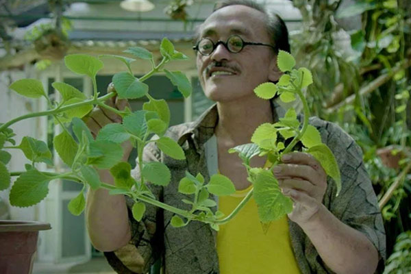 Vĩnh biệt 5 người nghệ sĩ: Trưởng thôn Văn Hiệp, Chí Tài trùm sò, sếp Phạm Bằng, Giang Còi và ông lão Hữu Thành của tuổi thơ tôi-2