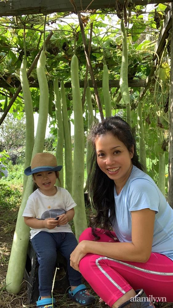 Khu vườn của mẹ Việt sai trĩu rau củ với kích thước khủng-6