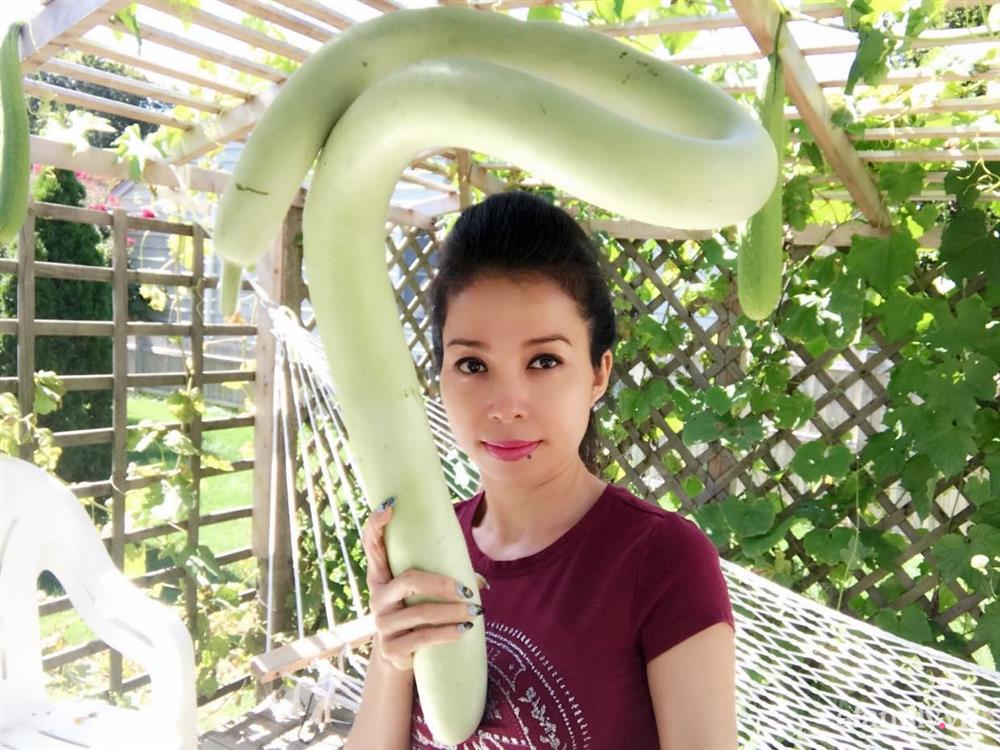 Khu vườn của mẹ Việt sai trĩu rau củ với kích thước khủng-10