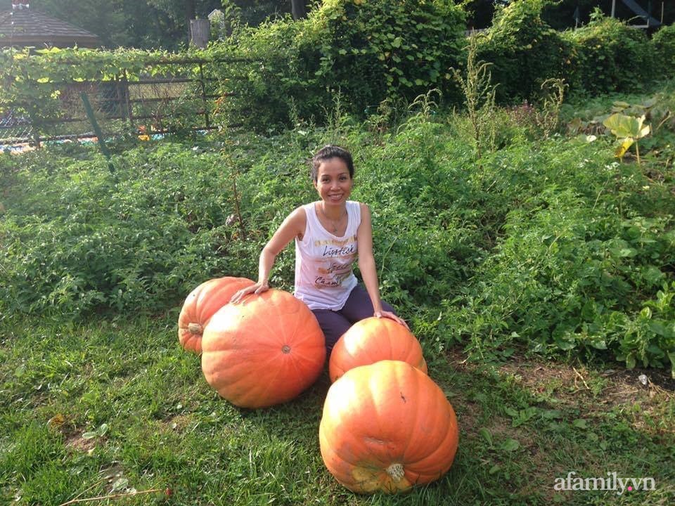 Khu vườn của mẹ Việt sai trĩu rau củ với kích thước khủng-11